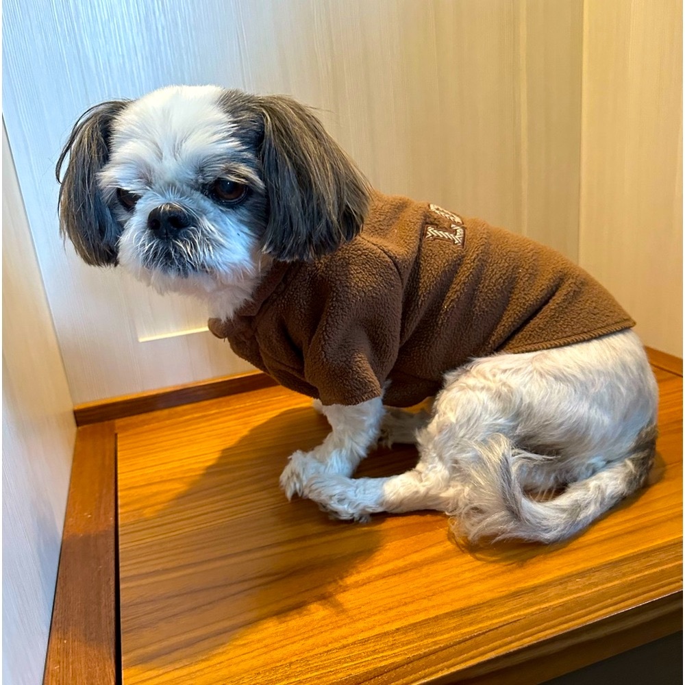 ADORABLE, Martha Stewart doggie sweater sz sm